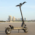 VoltRide Dual X